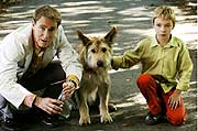 Apotheker Sternheim (August Zirner), Bello und Max (Manuel Steitz) (Foto: Constantin Film)